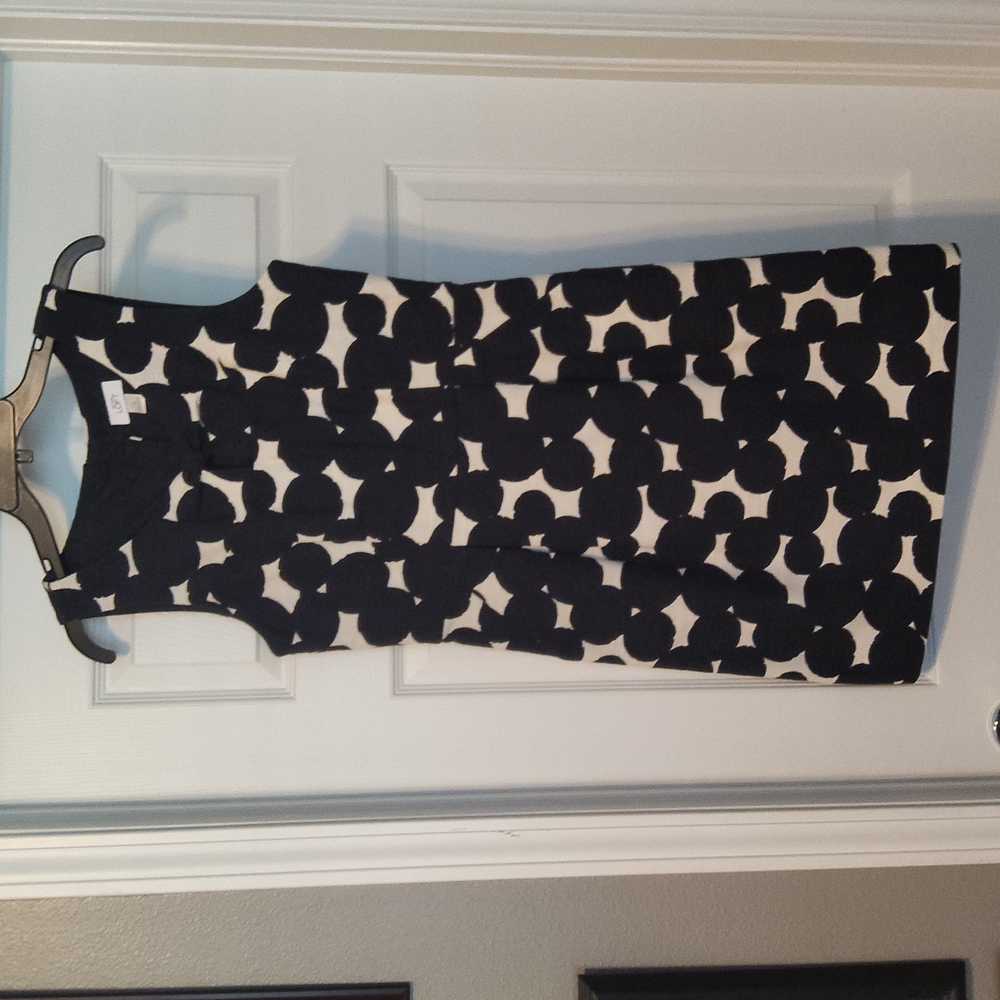 NWT Sleeveless Navy and White Polka Dot Dress from Loft